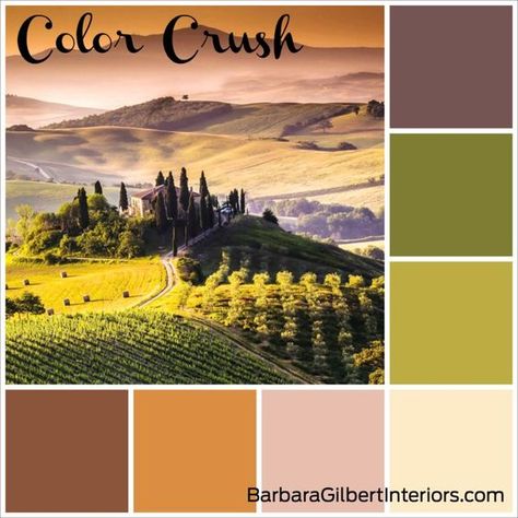 Tuscany Inspired Color Palette Tuscany Color Palette, Italian Color Palette, Tuscan Color Palette, Flat Bedroom, Tuscan Colors, Color Palette Ideas, Tuscan Landscaping, Wall Living Room, Toscana Italia