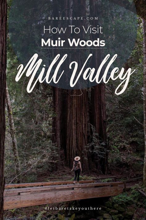 Mill Valley California, Muir Woods National Monument, Muir Beach, Muir Woods, Highway 1, Mill Valley, Outdoor Restaurant, The Perfect Day, San Fran