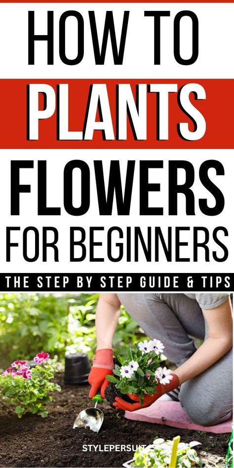 Embarking on the journey of gardening can be both exciting and rewarding, especially when it comes to planting vibrant flowers. Whether you're looking to enhance your outdoor space, attract pollinators, or simply enjoy the beauty of nature, starting with flower planting is an excellent choice. In this beginner's guide to gardening, we'll cover the essential steps and tips to help you plant flowers successfully and cultivate a flourishing garden oasis. How To Plant Flowers For Beginners, Gardening For Beginners Flower, Planting Flowers For Beginners, Housewife Life, How To Plant Flowers, Flowers For Beginners, Flower Planting, Reading For Beginners, Starting A Garden