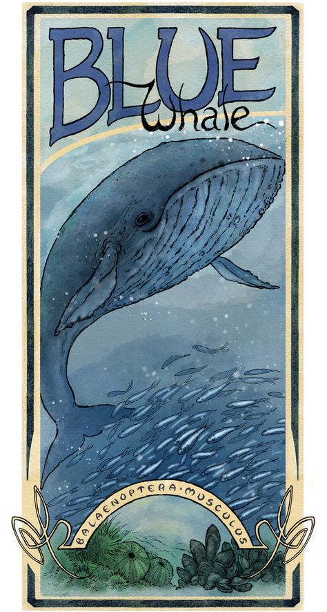 Squid Illustration, Whale Poster, Sea Things, Class Inspiration, Art Coquillage, Giant Squid, Save The Whales, Water Pictures, Whale Art