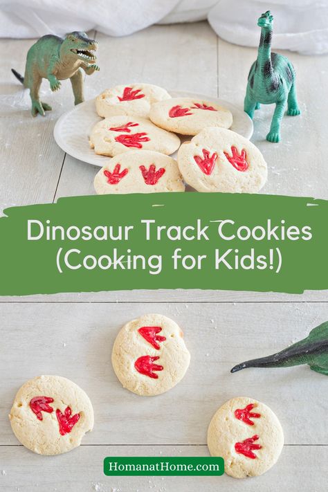 Dinosaur Baking, Dinosaur Print Cookies, Dino Print Cookies, Easy Dinosaur Cookies, Dinosaur Sugar Cookies, Dinosaur Desserts, Stamp Cookies Recipe, Easy Sugar Cookie Dough, Dinosaur Food