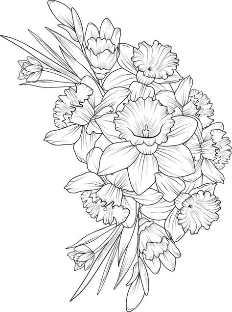 Hand drawn daffodils, narcissus flower bouquet vector sketch illustration engraved ink art botanical leaf branch collection isolated on white background coloring page and books. Daffodil Drawing, Daffodil Flower Tattoos, Odyssey Art, Daffodil Design, Flower Bouquet Tattoo, Daffodil Tattoo, Clock Tattoo Design, Bouquet Tattoo, Narcissus Flower