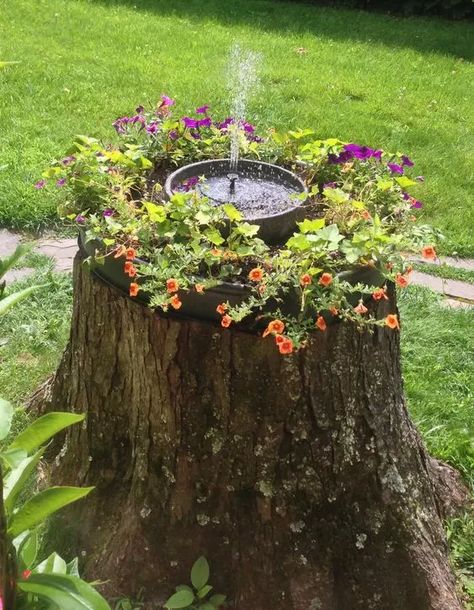 a lovely tree stump fountain Tree Stump Fountain, Tree Stump Decor, Rustic Outdoor Spaces, Tree Stump Planter, Creative Backyard, Diy Garden Fountains, Gardening Diy, Diy Backyard Landscaping, Garden Yard Ideas