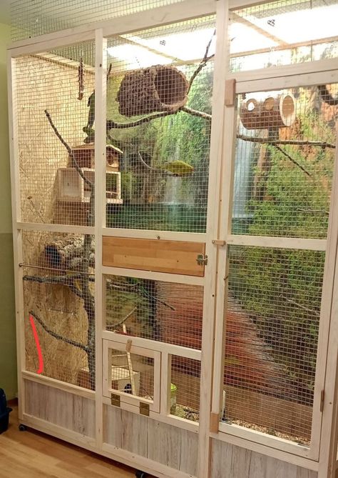 Indoor Aviary, Bird Cage Ideas, Finch Cage, Parrot Cages, Diy Bird Cage, Pigeon Cage, Bird Cage Design, Cockatiel Cage, Animal Enclosures