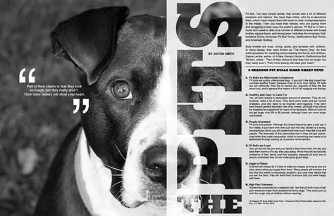 Animal Magazine Design, Article Design Layout Magazine Spreads, Editorial Spread Design, Magazine Spread Design, Magazine Page Design, Magazine Typography, Coffee Table Book Design, American Advertising, Justin Smith