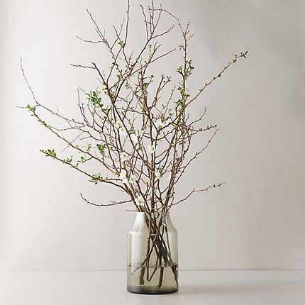 Forcing Spring branches In Your Home - StoneGable Branch Styling, Quince Branches, Tulip Magnolia Branches, Tulip Magnolia, Spring Branches, Church Sanctuary, White Quince, Garden Event, Branch Centerpieces