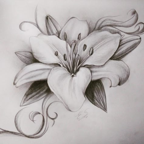 Realistic Lily Tattoo Design, Drawing For Bedroom, Lily Tattoos For Women, Lily Flower Sketch, Lilly Flower Drawing, Lilly Tattoo Design, Lilly Flower Tattoo, Lily Artwork, Lily Illustration