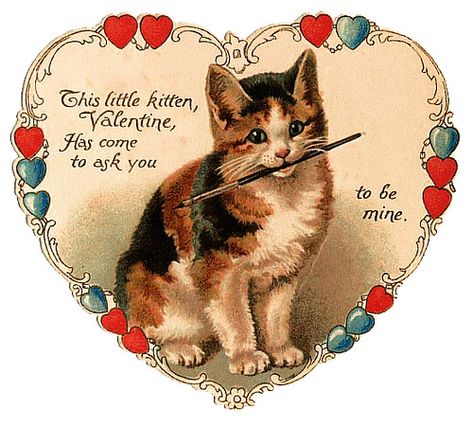 Victorian Valentines, Valentine Images, Printable Valentines Cards, Vintage Valentine Cards, Valentines Greetings, Cat Valentine, Cat Cards, Little Kittens, Valentine Card