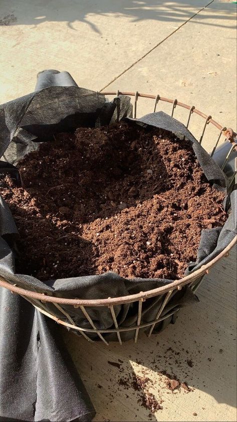 So this past fall I decided to try to turn an everyday item into a flower pot. I choose my wire basket because it screams of summer and fall to me. Instead of carrying my garden vegetables it now held my mums! Materials Needed All you need is 4 items!Wire BasketLandscape FabricPotting SoilAnnuals Locate a Temporary Flower Pot So I wanted to incorporate a rustic farm look into my porch decorations this year. In previous years, I filled this wire basket with pumpkins or mini pumpkins.… Old Wire Baskets Ideas, Metal Basket Decor Ideas, Wire Basket Decor Ideas, Large Wire Basket, Gardening Design Diy, Hanging Wire Basket, Buffalo Plaid Christmas Decor, Store Basket, Old Baskets