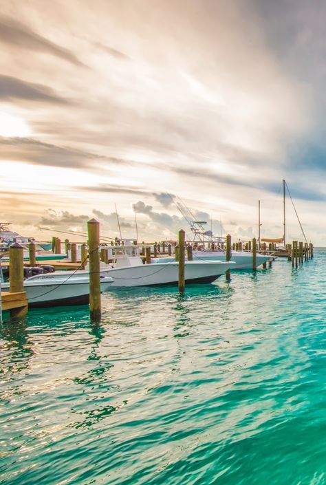 Bimini, Bahamas - just 50 miles from the Florida coast. Bimini Bahamas Photography, Bimini Bahamas, Affordable Beach Vacations, Bimini Islands, Bahamas Travel, Bahamas Island, Harbour Island, Caribbean Beaches, Caribbean Vacations