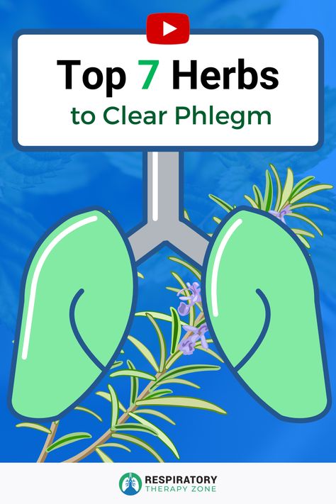 How To Get Rid Of Mucus In Chest, Lung Cleanse Mucus, How To Loosen Mucus In Chest, Phlegm In Throat, How To Clear Lungs Of Mucus, How To Clear Your Lungs Of Mucus, Herbs To Clear Lungs, Sinus Infection Relief, Mucus In Stool