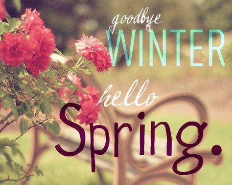 Goodbye Winter, Hello Spring spring spring quotes hello spring welcome spring hello spring quotes hello spring images welcome spring images goodbye winter hello spring Hello Spring Quotes, Happy Spring Day, Goodbye Winter, Goodbye Quotes, Seasons Months, Spring Quotes, Spring Images, Spring Pictures, Spring Equinox