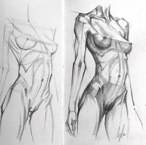 Anatomy Drawing Female, Academic Drawing, Drawing Female, Human Anatomy Drawing, Human Figure Drawing, Human Anatomy Art, Anatomy Sketches, Female Art Painting, Figure Sketching