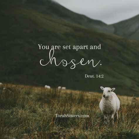 You are set apart and chosen. Deuteronomy 14:2 Mary Kakegurui, Mary Mary, Ayat Alkitab, Set Apart, Biblical Verses, Life Quotes Love, Shoes Outfit, Inspirational Bible Quotes, Bible Verses Quotes Inspirational