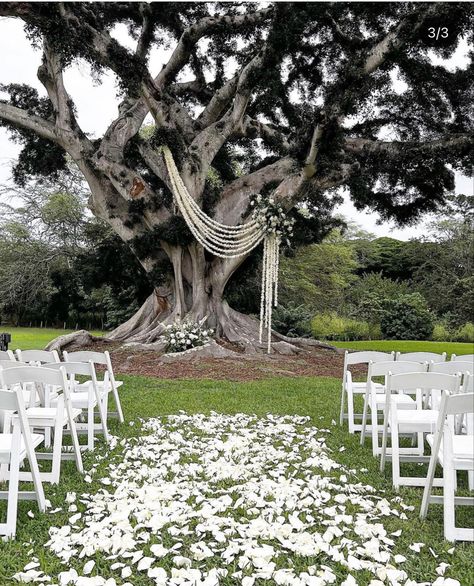 Possibly linen rather than white flowers strings due to budget Tulle In Trees Wedding, Fabric On Trees Wedding, Outdoor Ceremony Altar, Tree Decor For Wedding, Tree Altar Wedding, Banyan Tree Wedding, Tree Arbor Wedding, Under Tree Wedding Ceremony, Dillingham Ranch Wedding