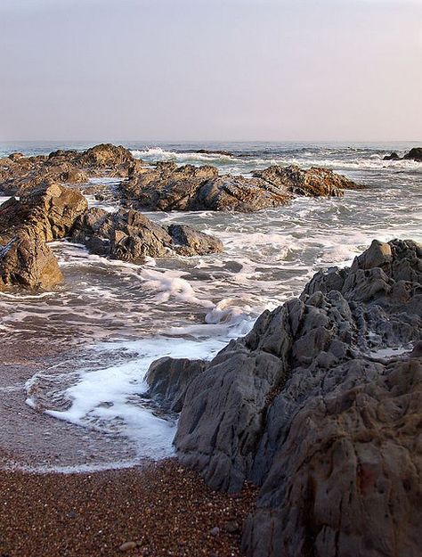 Cambria California, Moonstone Beach, Central Coast California, Avila Beach, Travel Noire, Travel Things, Highway 1, Hidden Places, Aquatic Life