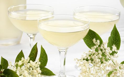 Cocktail Prosecco, Gin Garnish, Chia Fresca, Elderflower Champagne, Best Gin Cocktails, Champagne Recipe, Limoncello Cocktails, Gin And Prosecco, Prosecco Cocktails