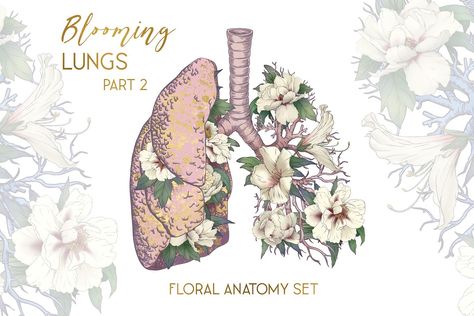 Anatomy Clipart, Lungs Drawing, Human Brain Anatomy, Lungs Art, Human Lungs, Armband Tattoos, Heart Clip Art, Knot Tattoo, Brain Anatomy