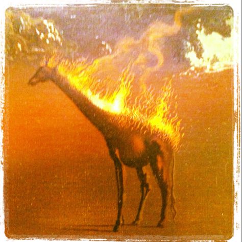 Dali giraffe. Salvador Dali Art, Dali Art, Beauty In Art, Salvador Dali, Rembrandt, Dali, Fantastic Art, Surrealism, Moose Art