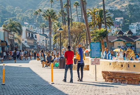 9 Best Small Towns In Southern California Small Towns In California, Santa Catalina Island, Harbor Springs, Weekend Escape, Santa Catalina, Catalina Island, Joshua Tree National Park, Acadia National Park, Aerial View