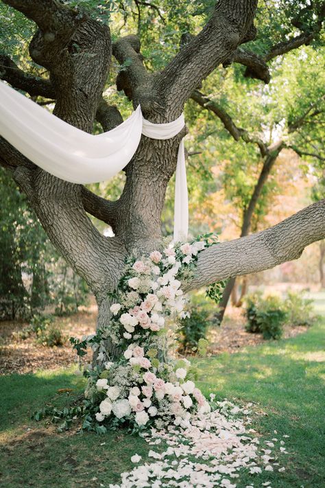 Non Traditional Weddings, Non Traditional Wedding Ideas, Wedding April, Elegant Wedding Themes, Non Traditional Wedding, Whimsical Forest, Nontraditional Wedding, Wedding Deco, Wedding Plans