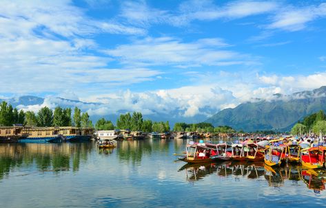 Dal Lake: The Jewel in the Crown of Kashmiri Beauty | Travel.Earth Jammu And Kashmir Tourism, Kashmir Tourism, Holiday Destinations In India, Kashmir Tour, Dal Lake, India Tour, Srinagar, Jammu And Kashmir, Tourist Places