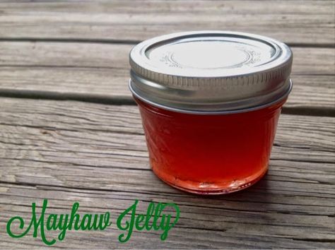 Mayhaw Jelly Recipe, Mayhaw Jelly, Pepper Jelly Recipes, Home Sick, Homemade Jelly, Jelly Recipe, Berry Jam, Childhood Dreams, Pepper Jelly