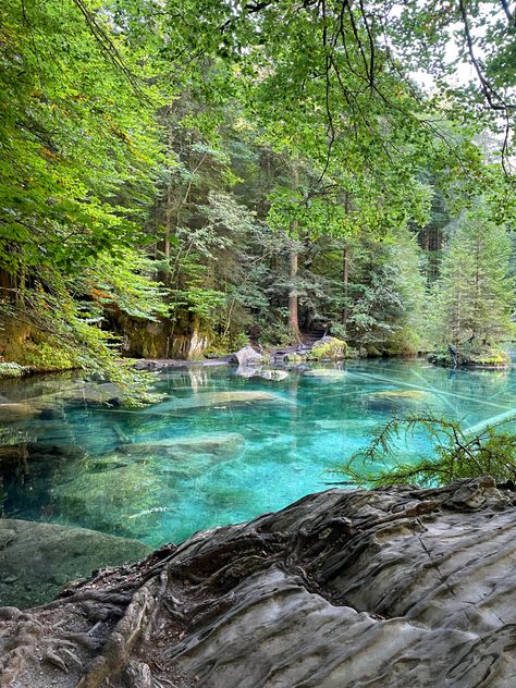 Visited Blausee in Kandersteg. #switzerland #lake #nature Lake In Switzerland, Lake Blausee Switzerland, Switzerland Blausee, Kandersteg Switzerland, Blausee Switzerland, Hike Aesthetic, Switzerland Lake, Switzerland Summer, Trout Farm