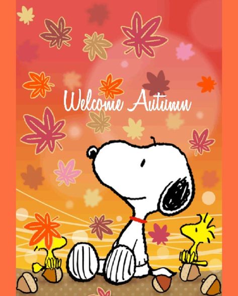 #Repost welcome Autumn! #snoopy #autumn #loves #sister #friends4eva Credit to @corinna.u Snoopy Autumn, Snoopy Fall, Peanuts Thanksgiving, Wallpaper Snoopy, Peanuts Wallpaper, Autumn Pictures, Good Morning Snoopy, Woodstock Snoopy, Wallpapers Ipad