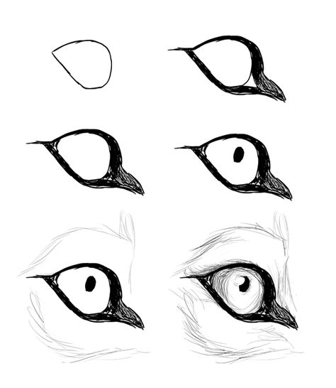 drawingdogs_5-7_eye_side how to draw a canine eye ★ || CHARACTER DESIGN REFERENCES (www.facebook.com/CharacterDesignReferences & pinterest.com/characterdesigh) • Love Character Design? Join the Character Design Challenge (link→ www.facebook.com/groups/CharacterDesignChallenge) Share your unique vision of a theme every month, promote your art and make new friends in a community of over 20.000 artists! || ★ Wolf Eye Drawing, Drawing Wolf, Wolf Drawings, Wolf Sketch, Realistic Eye Drawing, Wolf Eyes, Drawing Eyes, Wolf Drawing, Wolf Art