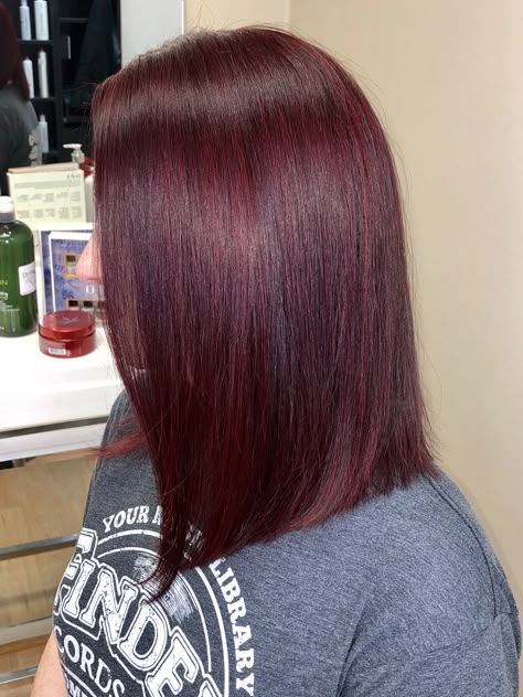 Red red 🚨🚨 Colorado Pelo, Red Wine Short Hair, Dark Wine Red Hair Short, Cherry Red Bob Hair, Wine Red Short Hair, Dark Red Hair Bob Haircut, Dark Red Hair Color Short Bob Hairstyles, Pelo Color Vino, Red Balayage Hair