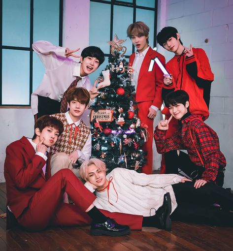 ENHYPEN PICS on Twitter: "merry christmas, engenes! enhypen is the most special gift that we've received this year and i am really happy to have a family like us. let's celebrate more years together, shall we? ♡ @ENHYPEN_members… https://t.co/DASjWTomIK" Enhypen Christmas, Kiss Under The Mistletoe, Christmas Wallpaper Ipad, Fandom Kpop, Under The Mistletoe, Christmas Icons, Christmas Photoshoot, Group Photos, Kpop Guys