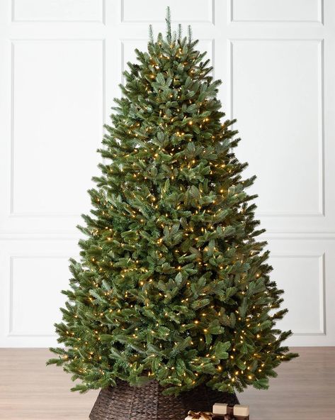 9 Most Popular Christmas Trees Best Artificial Christmas Trees, Pinterest Shop, Realistic Christmas Trees, Realistic Artificial Christmas Trees, Christmas Tree Green, Christmas Tree Sale, Fir Christmas Tree, Fraser Fir, Prelit Tree