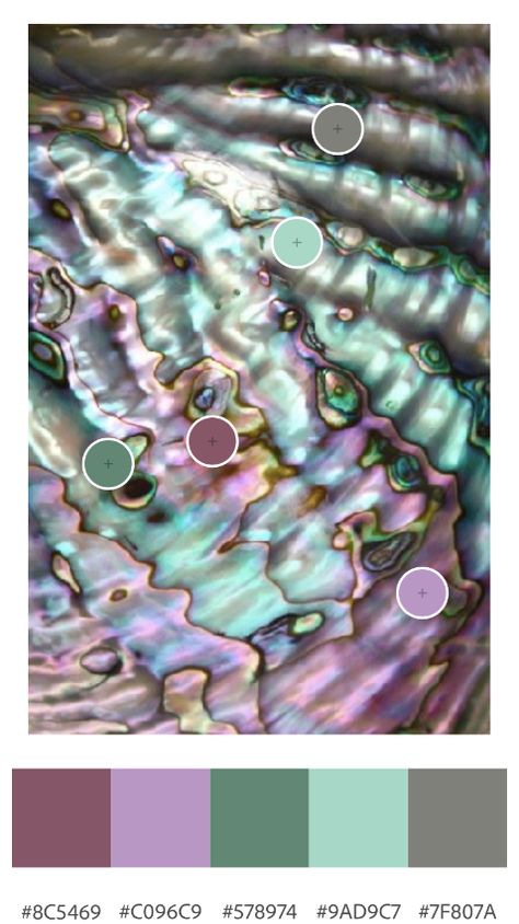 Abalone Shell Color Palette, Oyster Shell Color Palette, Mother Of Pearl Color Palette, Jellyfish Color Palette, Abalone Tattoo, Oyster Color Palette, Siren Color Palette, Shell Palette, Mermaid Color Palette