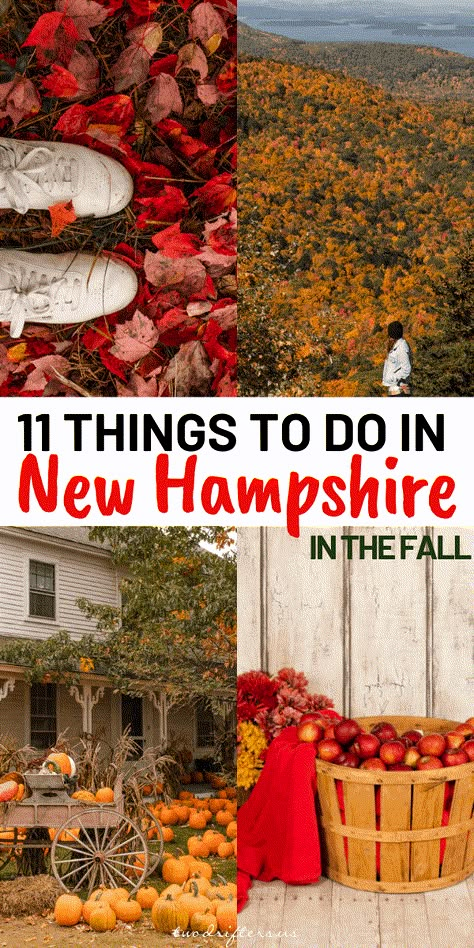 Fall Foliage Trips, Fall Foliage Road Trips, England Travel Guide, New England Road Trip, Voyage New York, Fall Road Trip, East Coast Travel, New England States, Leaf Peeping