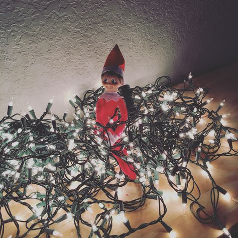 Maxy tangled in Christmas lights Elf Writing, Funny Elf On The Shelf, Elf Ideas Easy, Holographic Paper, Mini Candy Canes, Awesome Elf On The Shelf Ideas, Elf Activities, Hungry Hippos, Elf Fun