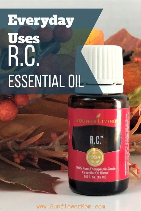 Rc Essential Oil Young Living, Young Living Rc, Rc Oil, Rc Essential Oil, Types Of Eucalyptus, Oils For Sinus, Young Living Recipes, Black Spruce, Essential Oils Kit