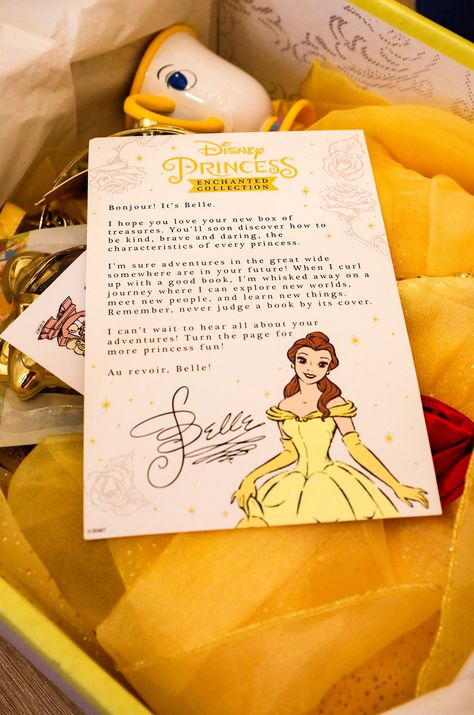 Disney Princess Merchandise, Disney Box Ideas, Disney Birthday Gifts, Princess Gift Basket, Babysitting Aesthetic, Gcse Graphics, Disneyland Party, Disney Box, Disney Activities