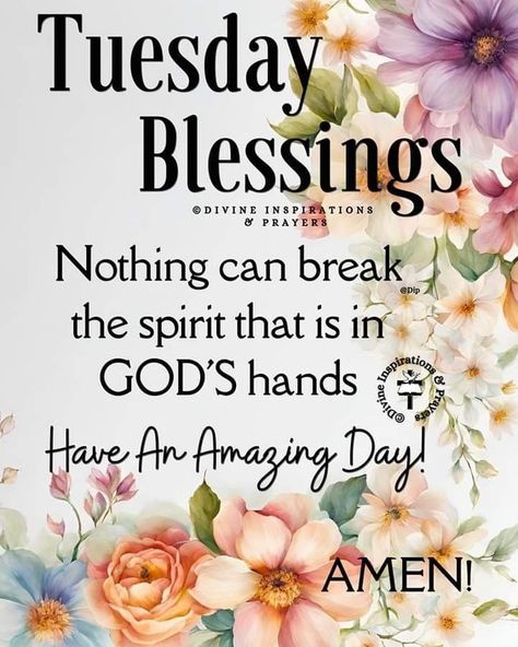 Tuesday Blessings Inspiration, Tuesday Morning Wishes, Good Morning Tuesday Wishes, Tuesday Motivation Quotes, Happy Tuesday Morning, Tuesday Quotes Good Morning, Tuesday Inspiration, Tuesday Blessings, Week Quotes