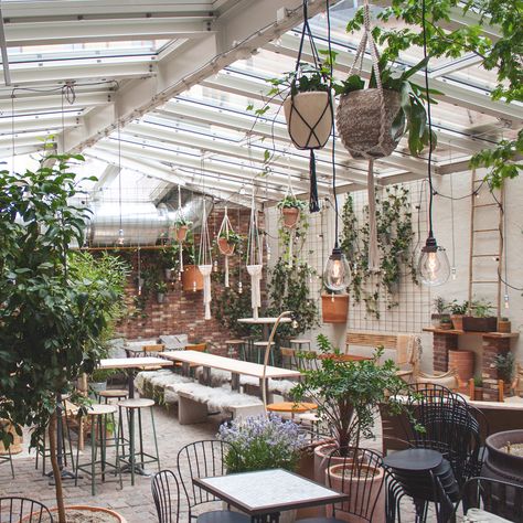 Cafe Interior Vintage, Greenhouse Bar, Cafe Plants, Greenhouse Restaurant, Multigenerational House Plans, Greenhouse Cafe, Conservatory Decor, Small Coffee Shop, Outdoor Restaurant Design