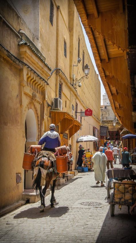 The Off Season Is In: Northern Morocco in High Summer | Here Magazine @ Away Desert Tour, Visit Morocco, Moroccan Culture, Morocco Travel, Solo Female Travel, Africa Travel, Best Cities, North Africa, Casablanca