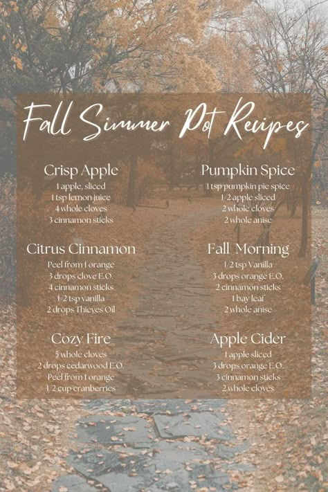 Smell Hacks For Home, Fall Simmer Pot, Home Decor Ideas Fall, Hacks For Home, Simmer Pot Recipes, Stove Top Potpourri, Potpourri Recipes, Simmer Pot, Fall Menu