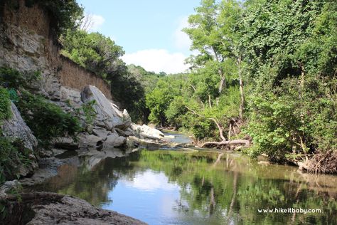 Austin.com Everything You Need to Know about Walnut Creek Park in Austin Dog Area, Downtown Austin, Walnut Creek, Recreational Activities, Texas Travel, Enjoy Nature, Free Fun, Activities To Do, Picnic Area