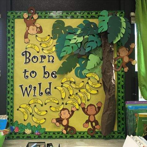 Jungle Theme Notice Board, Jungle Theme Kindergarten Classroom, Safari Board Ideas Classroom Themes, Jungle Theme Birthday Wall For Classroom, Jungle Theme Infant Classroom, Jungle Bulletin Board Ideas Classroom Decor, Jungle Room Theme Classroom, Jungle Display Classroom, Safari Daycare Room