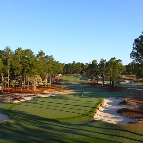 Pinehurst Golf, Pinehurst North Carolina, Caddy Shack, Top Golf Courses, Golf Inspiration, Golf Vacations, Public Golf Courses, Best Golf Courses, Golf Digest