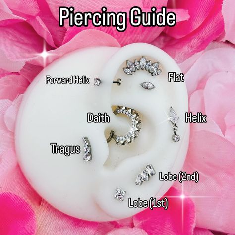 Piercing Guide www.PiercedBodyArt.co.uk #bodyjewelry #piercing Piercing Names, Forward Helix Piercings, Stacked Lobe, Chest Piercing, Piercings Tongue, All Piercings, Piercing Guide, Piercings Lip, Piercings Tragus