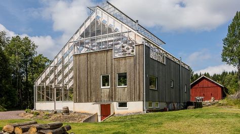 The house, with greenhouse enclosure, near Gothenburg in Sweden.Despite the drop in temperatures that traditionally comes with a Scandinavian winter, it’s warm enough inside to grow fruit and vegetables, including apricots, tomatoes and kiwifruit. Architecture Renovation, Modern Outdoor Spaces, Build A Greenhouse, Home Greenhouse, Eco Luxury, Greenhouse Plans, House In Nature, Glass Roof, Earthship