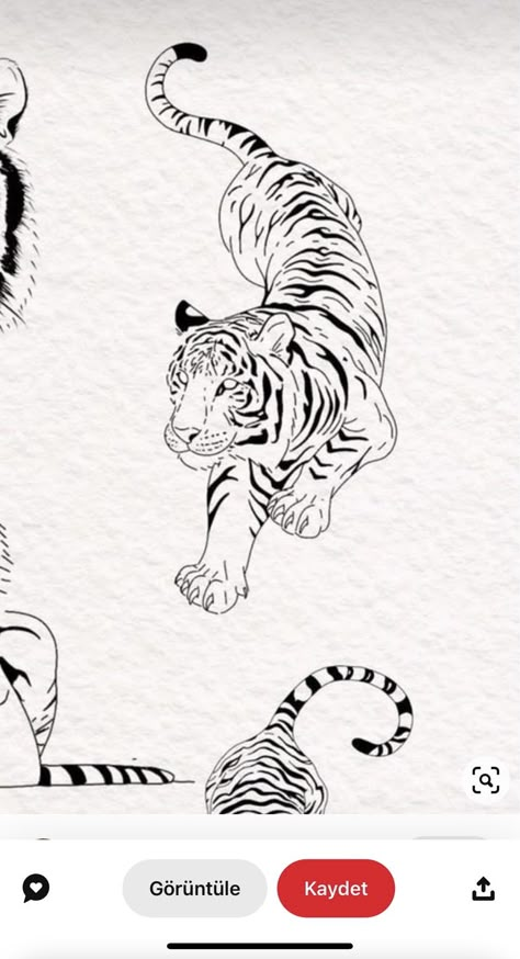 Modern Tiger Tattoo, Tiger Poses Drawing, Simple Tiger Tattoo Outline, Elegant Tiger Tattoo, Jumping Tiger Tattoo, Tiger Leg Tattoo For Women, Tiger Arm Tattoo Woman, Line Work Tiger Tattoo, Tiger Design Tattoo