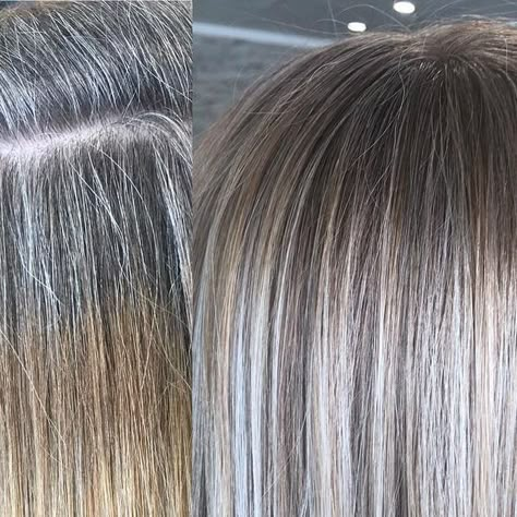 Angie | Florida Hair Stylist on Instagram: "Worked some magic today 🧚🏻‍♀️ bye bye grays and bands 👋" Grey Blending Highlights Brunette, Gray Brown Hair, Greyish Blonde Hair, Light Brown Hair Shades, Florida Hair, Grey Brown Hair, Light Brown Hair Color, Grey Blending, Brown Hair Inspiration