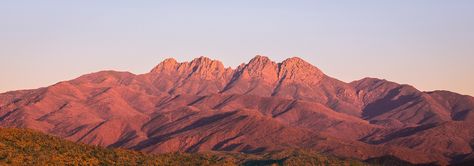 Arizona Tattoo, Landscape Photography Nature, Bucket List Destinations, Phoenix Arizona, Photography Nature, North East, National Forest, The Four, Printmaking